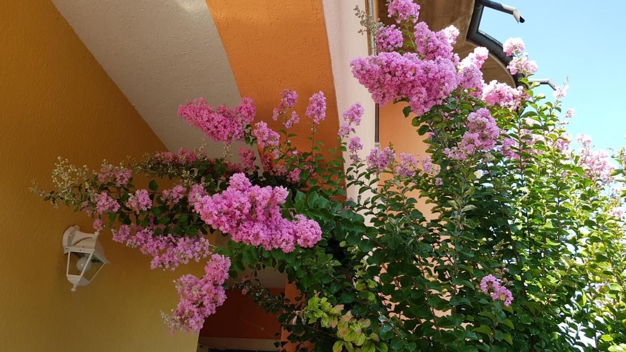 B&B Villa Giulia Десенцано дел Гарда Екстериор снимка