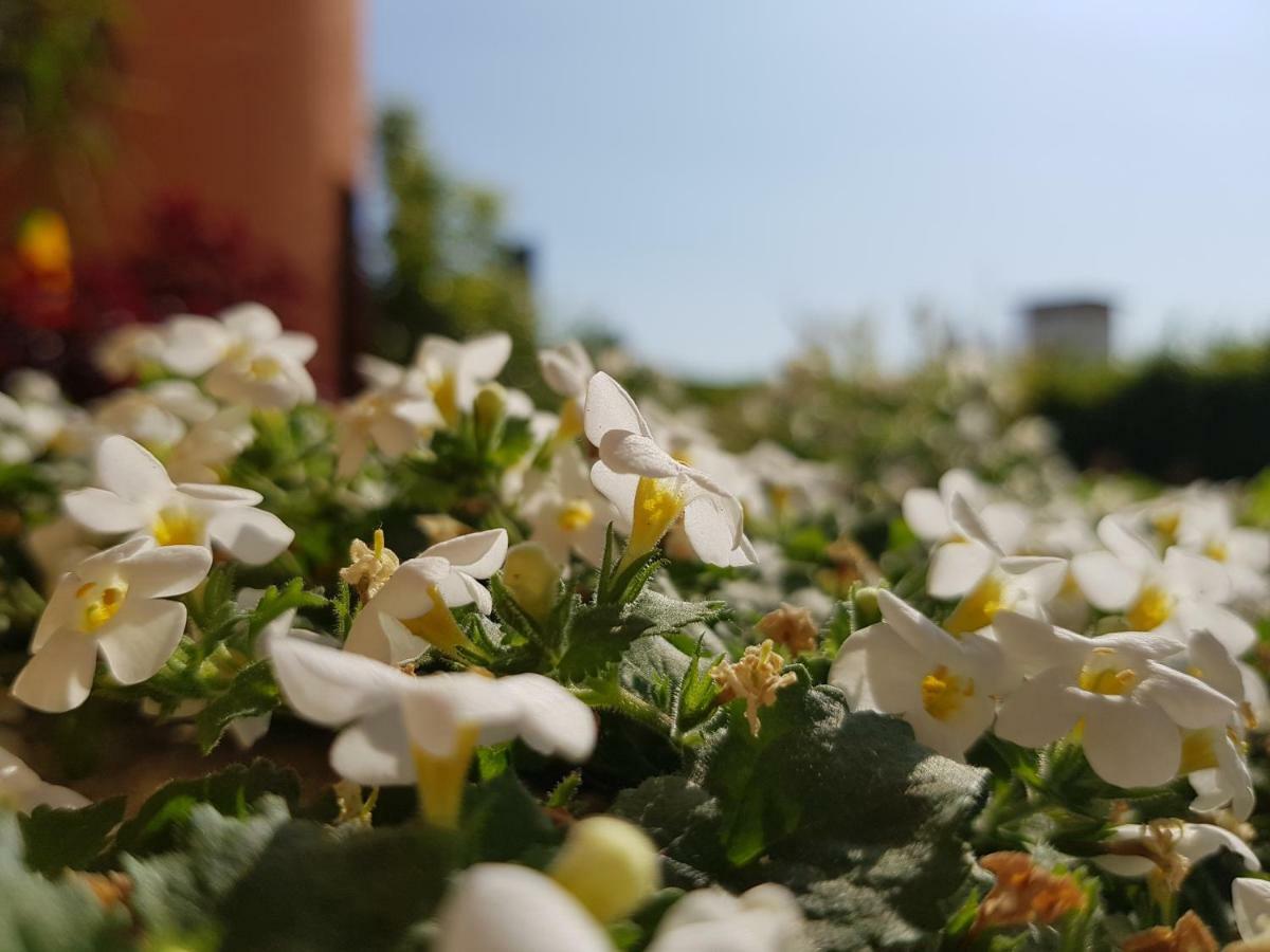 B&B Villa Giulia Десенцано дел Гарда Екстериор снимка